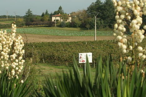 Domaine de Marquestau